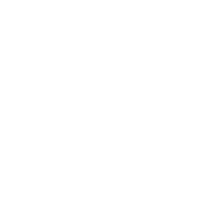 logo peccianti white